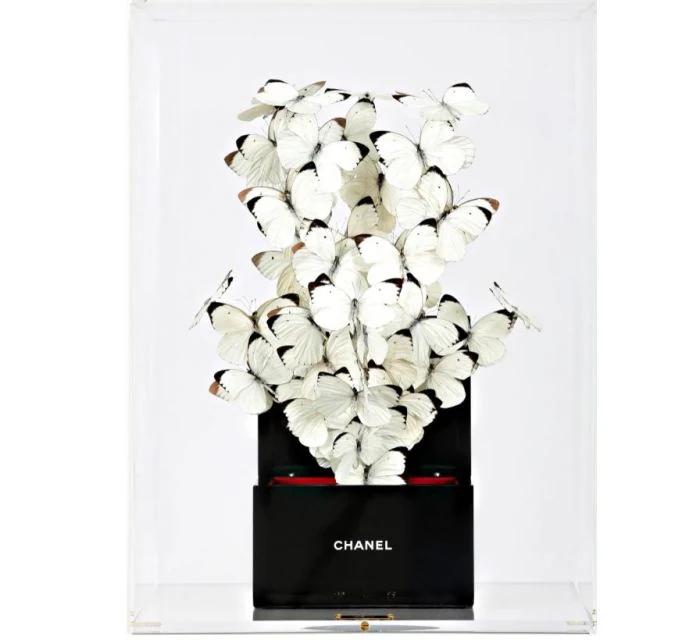 International Artist Roman Feral Combines Luxury & Nature
